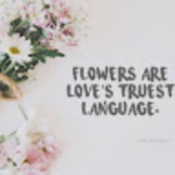 carolinegarden